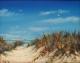 Lazy Day at South Padre